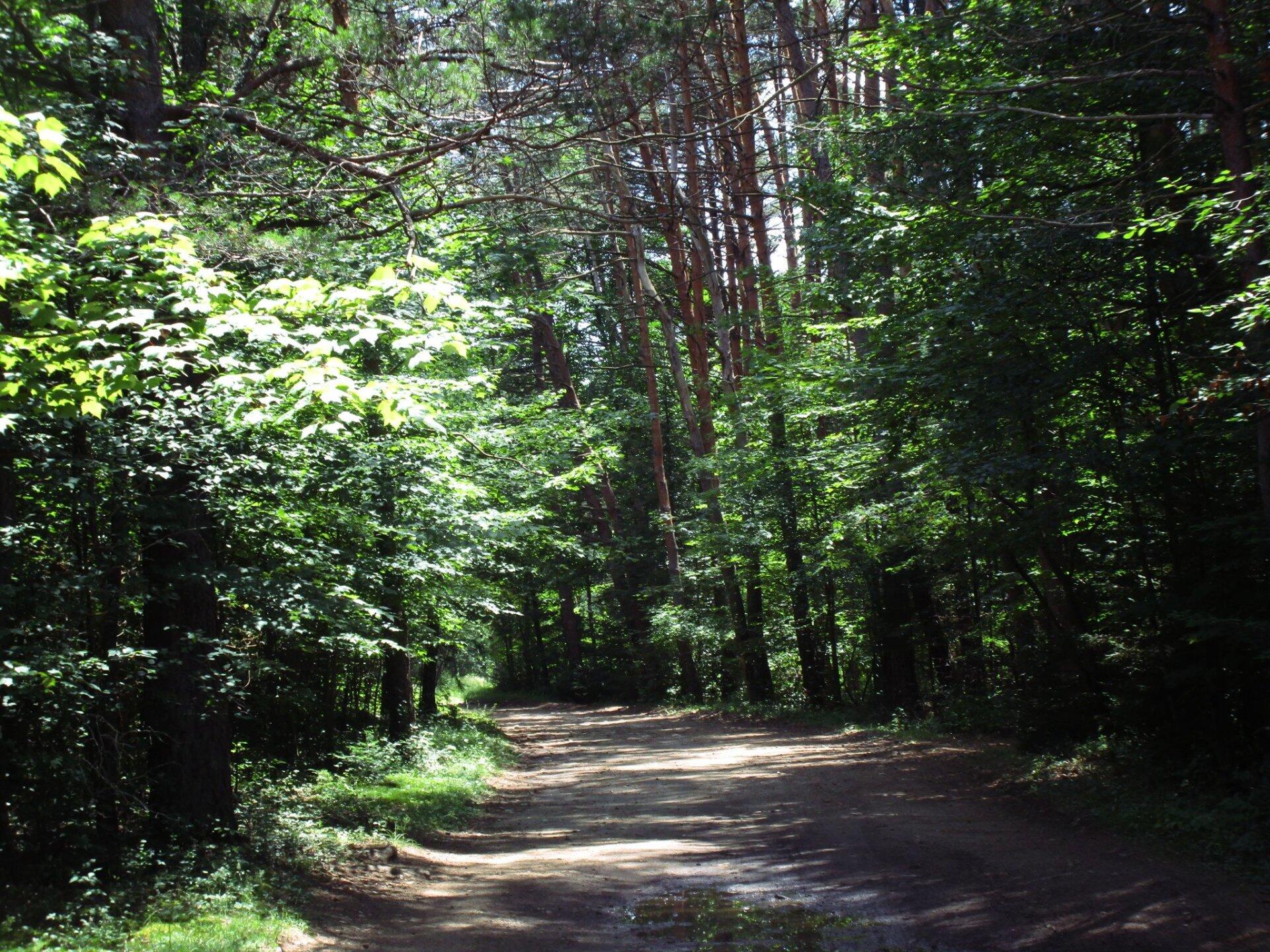 Photo End Of West River Road Andy