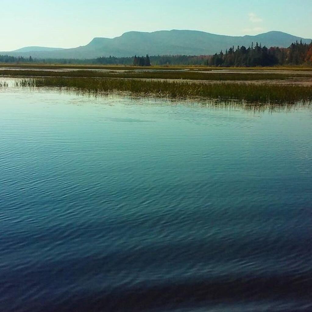 Moose River Plains Andy