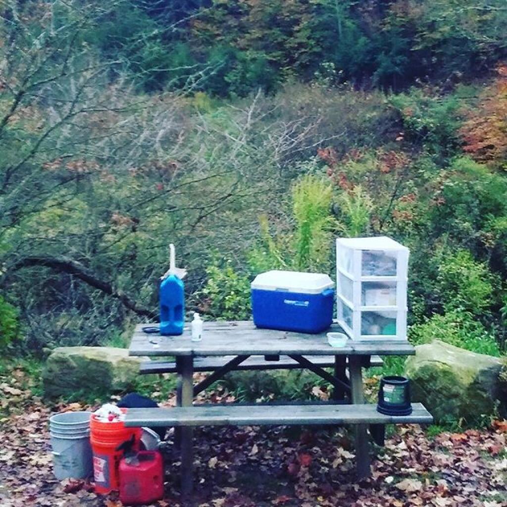 Morris Run, Pennsylvania Andy