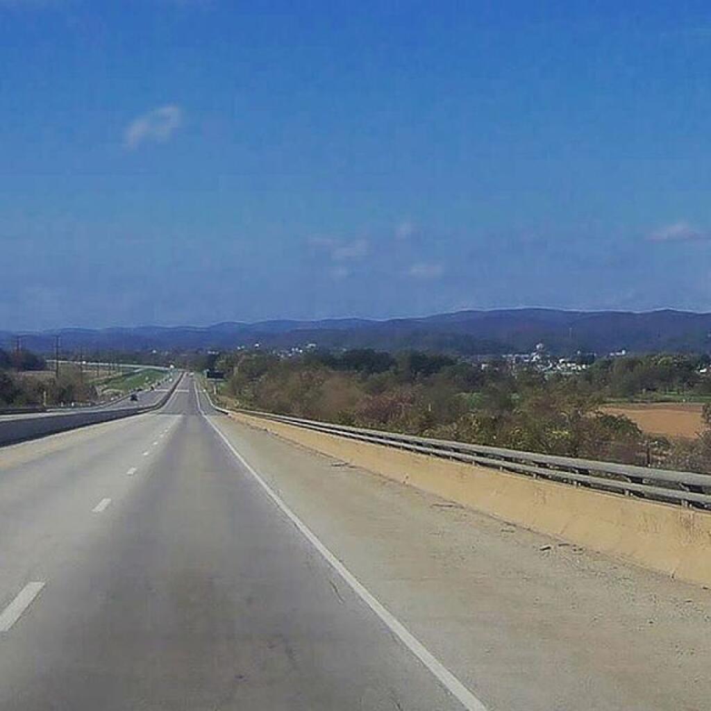 Jersey Shore, Pennsylvania Andy