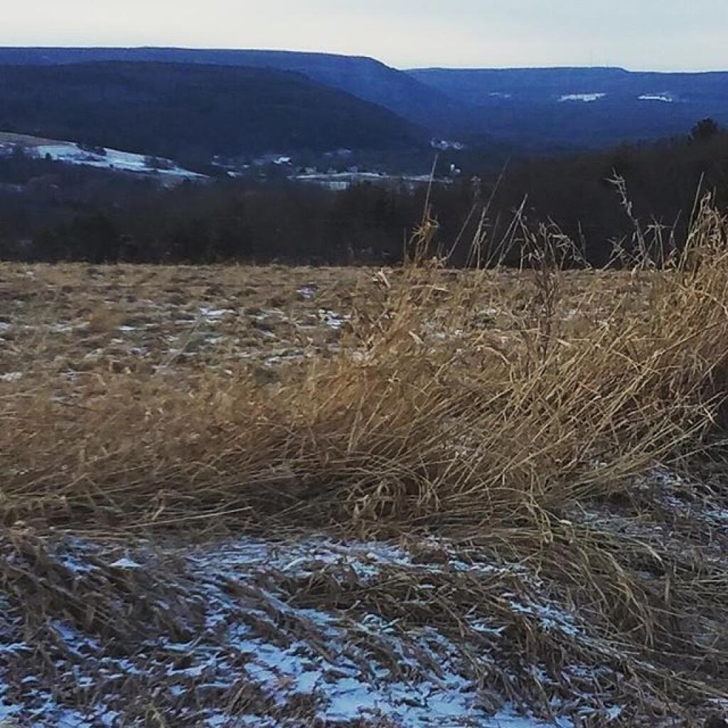 Photo View from Upper Copeland Hill Road Andy