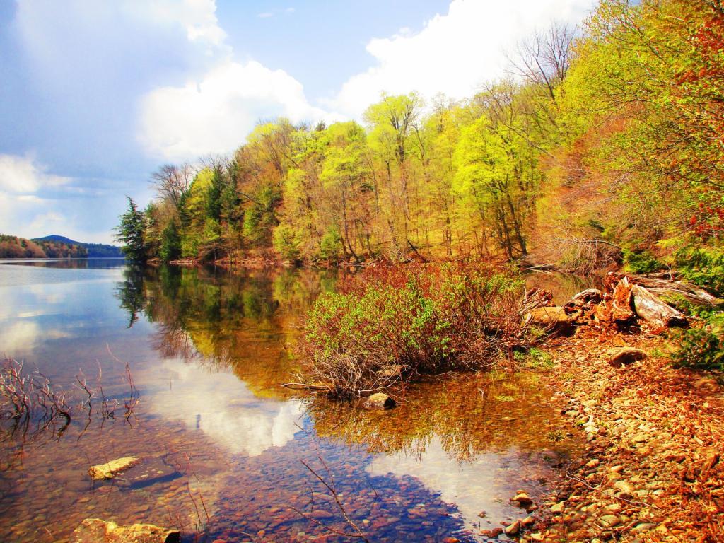 Indian Lake Maps, Photos, Videos, Aerial Photography, Charts Andy