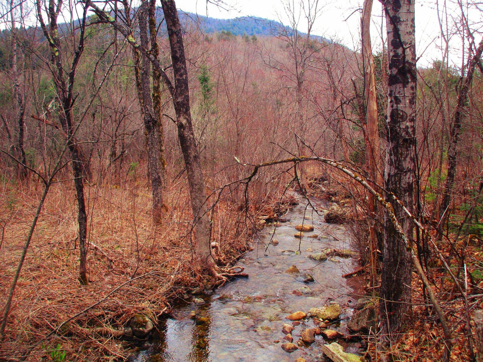 Cherry Valley, NY Maps, Photos, Videos, Aerial Photography, Charts