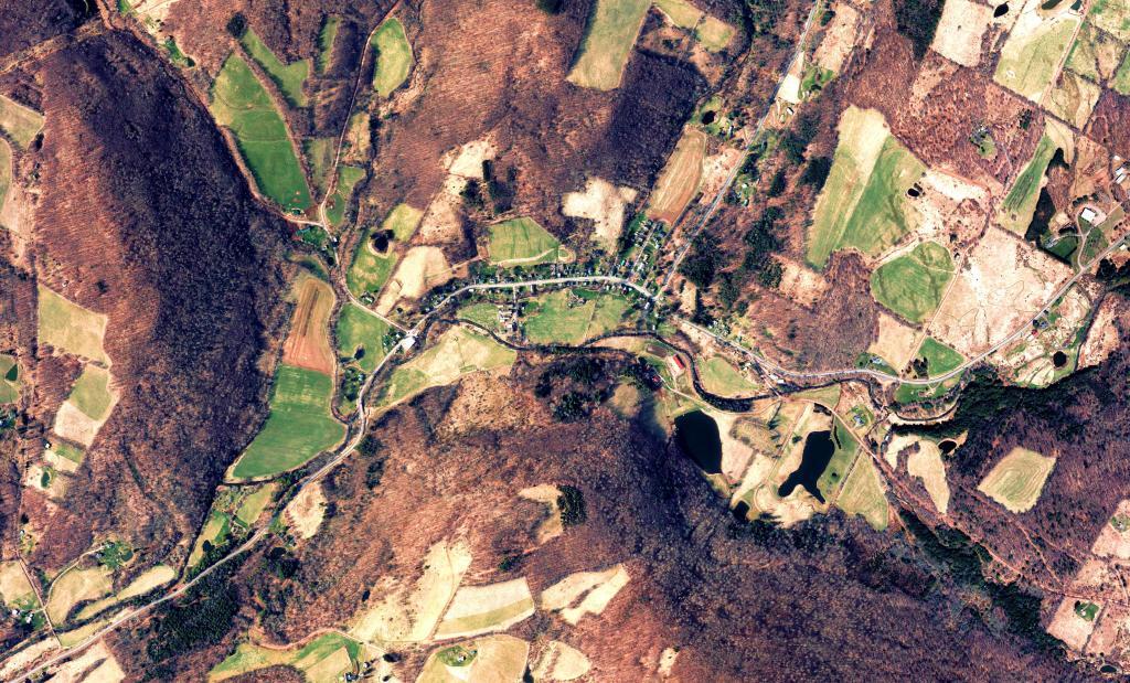 Photo Bovina Center Andy