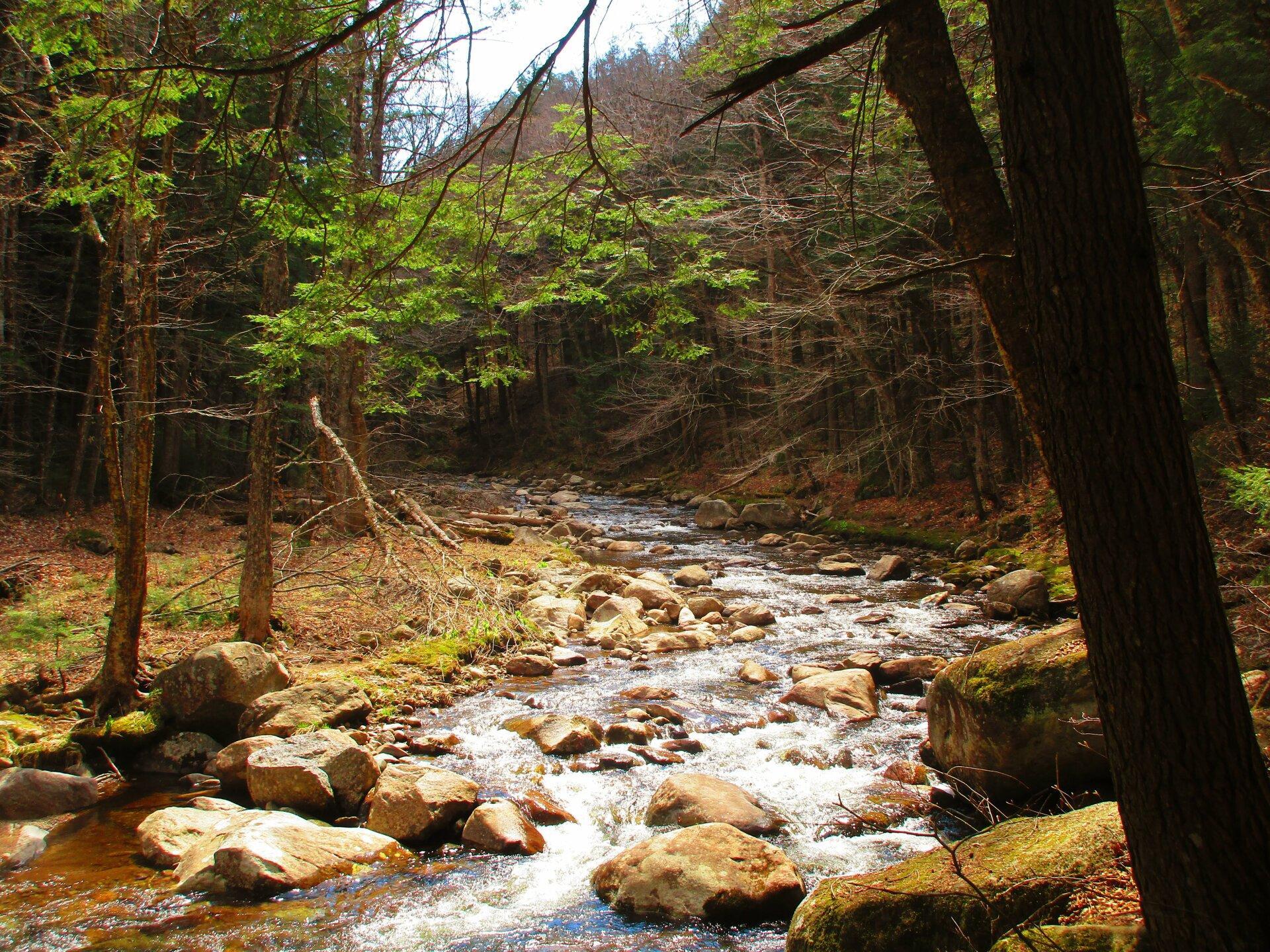 Aerial Photo Ferris Lake Andy