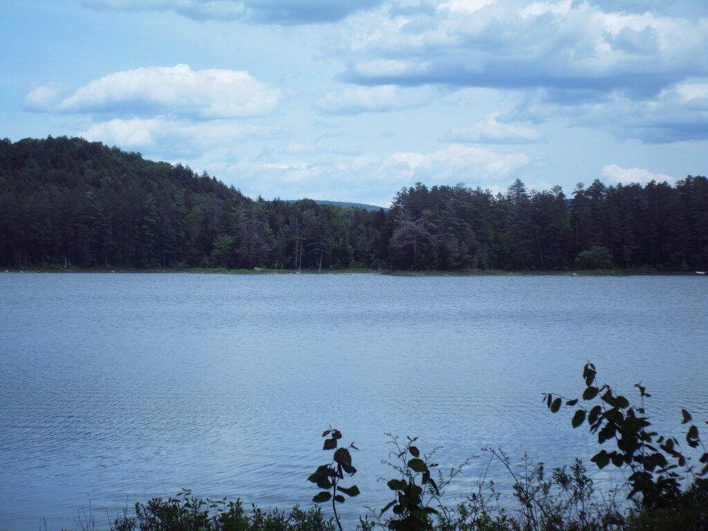 Wilcox Lake Rentals at Mark Haston blog