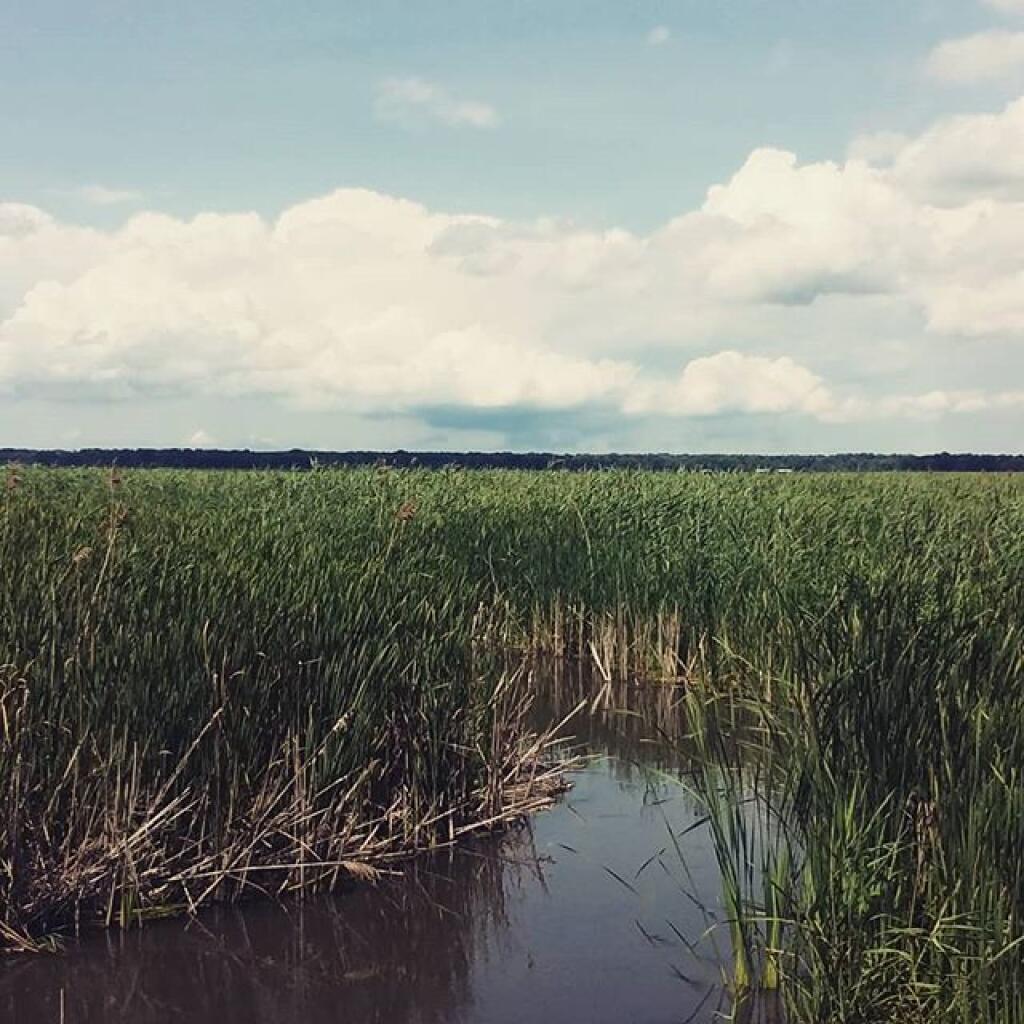 Montezuma National Wildlife Refuge Maps, Photos, Videos, Aerial