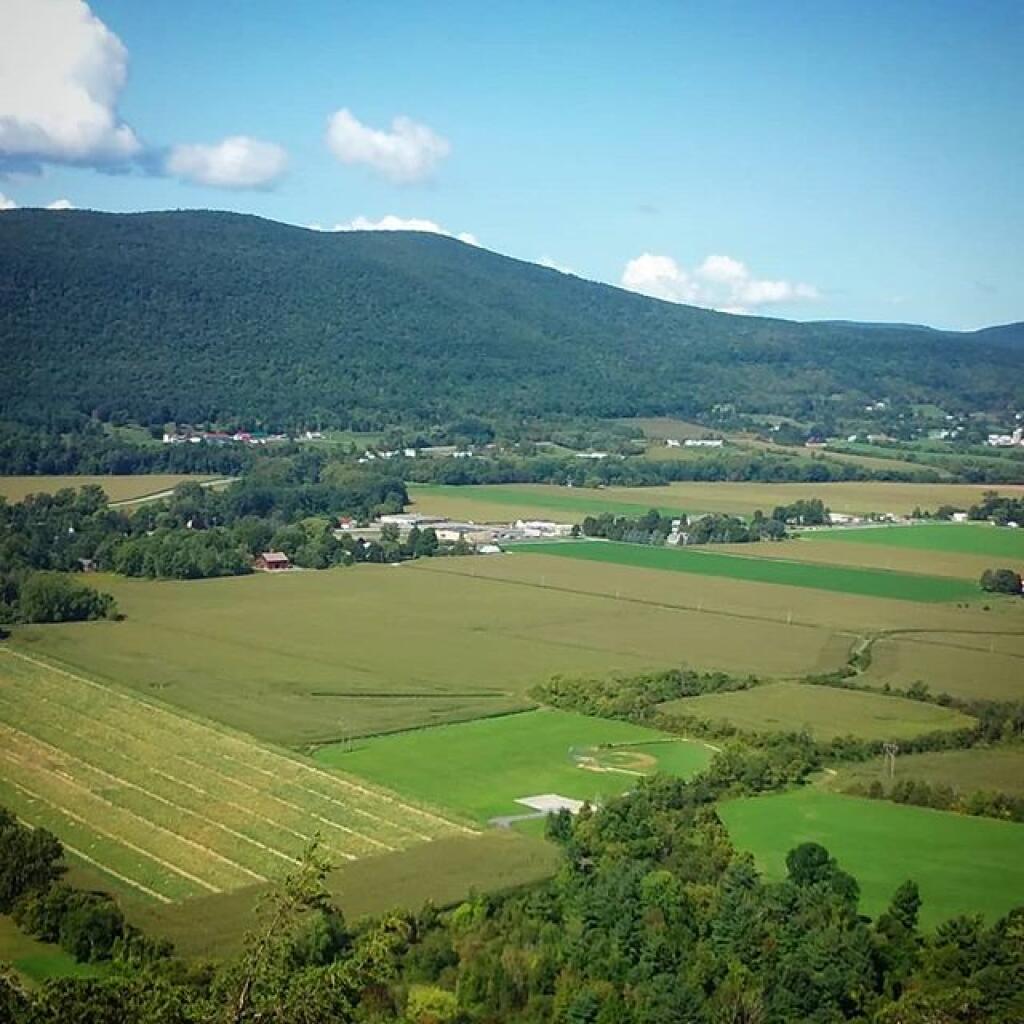 Middleburgh Cliff Andy