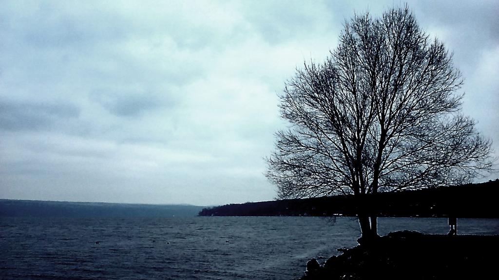 Photo Cold and gray December day on Cayuga Lake Andy