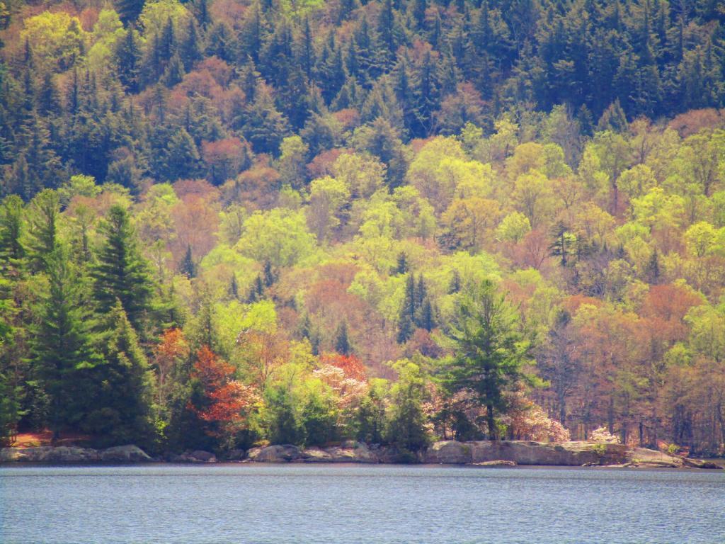 Photo Moose Island Andy