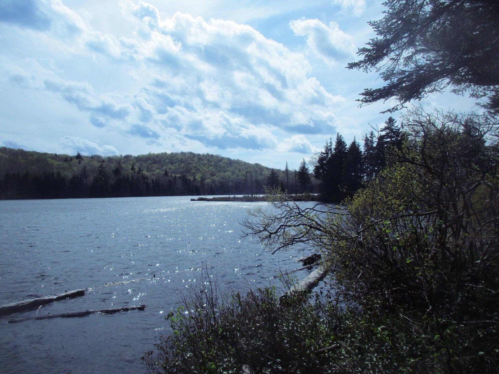 Photo Stratton Pond Looking East Andy