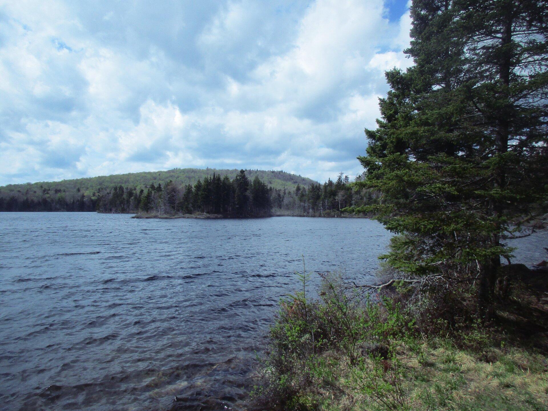 Photo Stratton Pond Andy