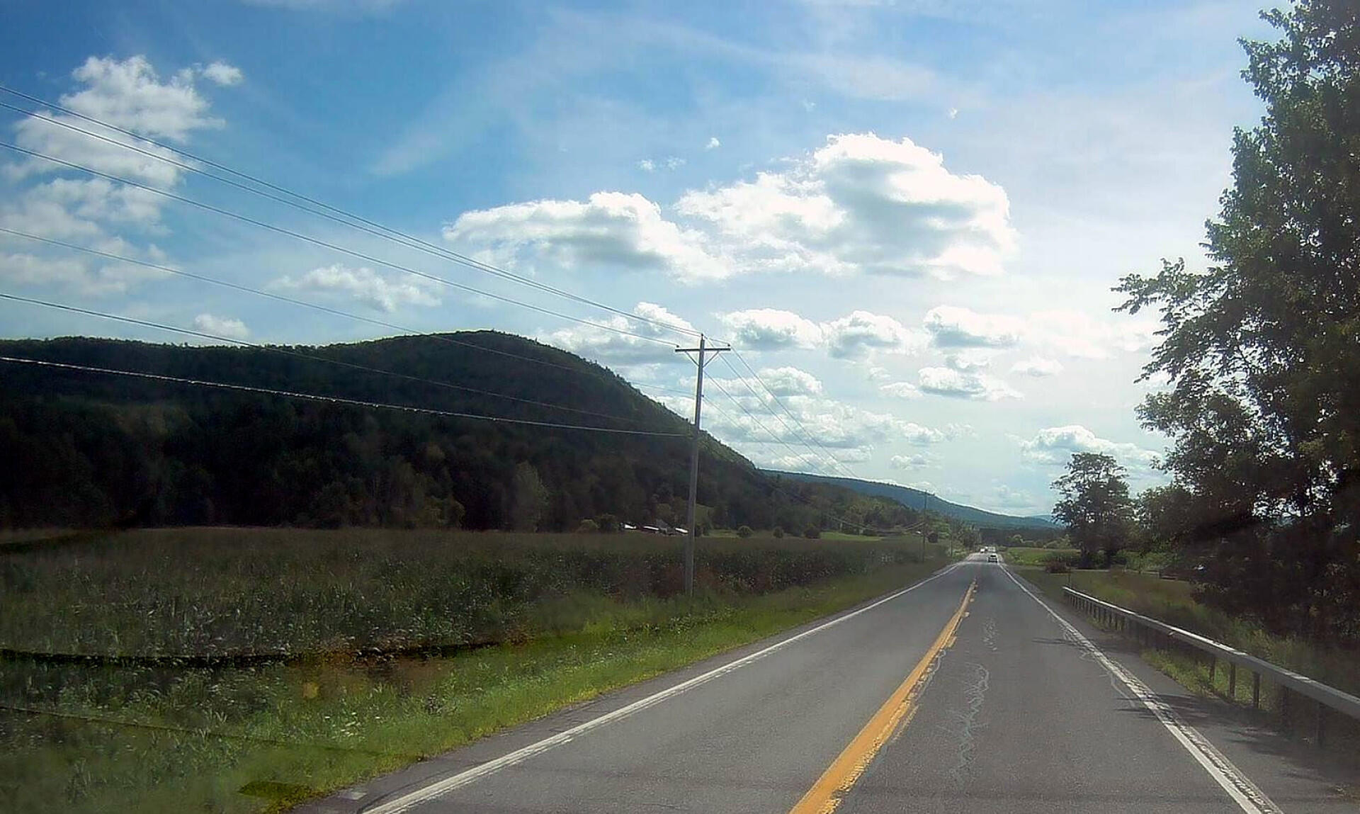 Photo Outside Blenheim Andy