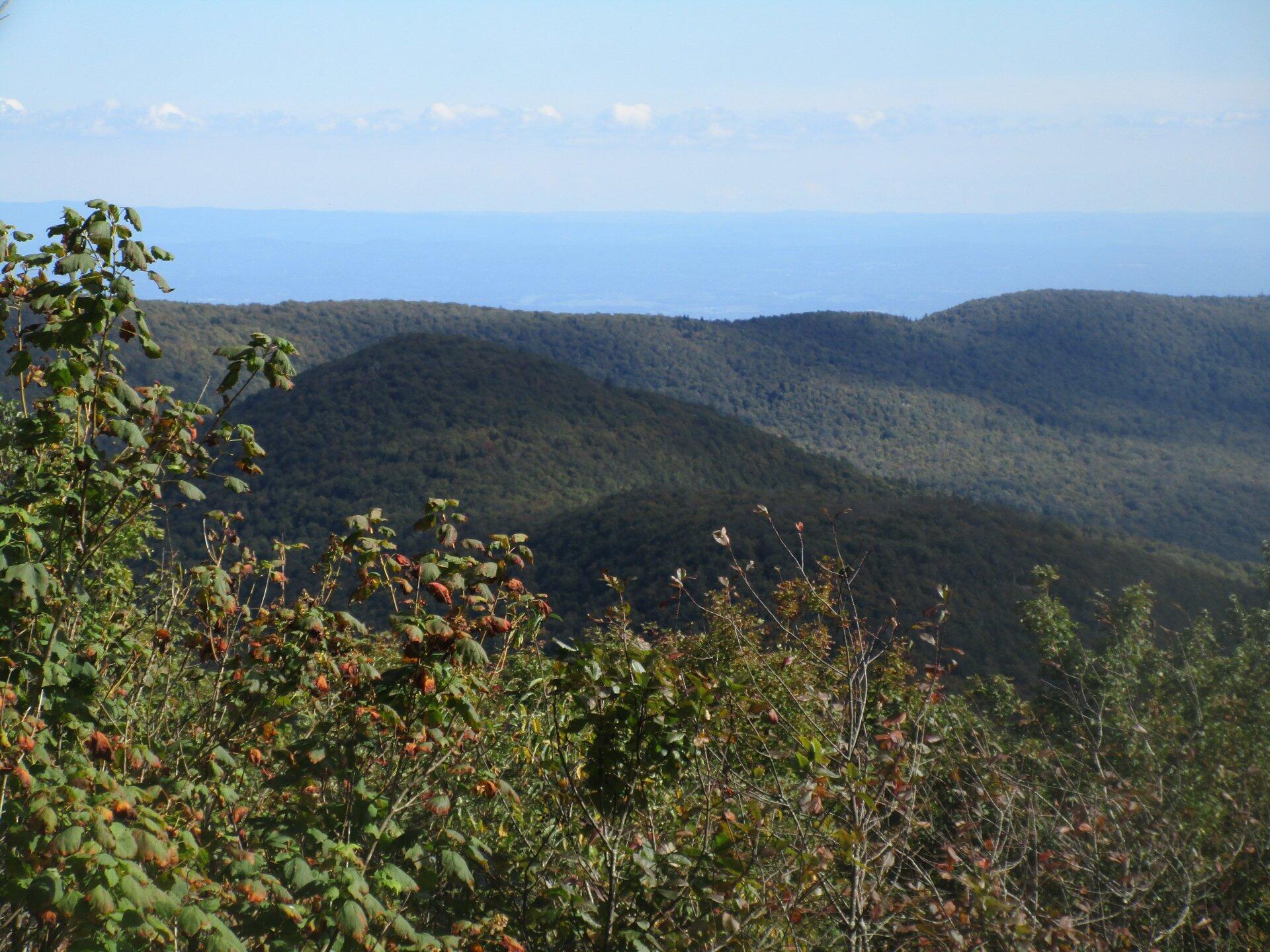 Photo Burnt Knob And Acra Point Andy