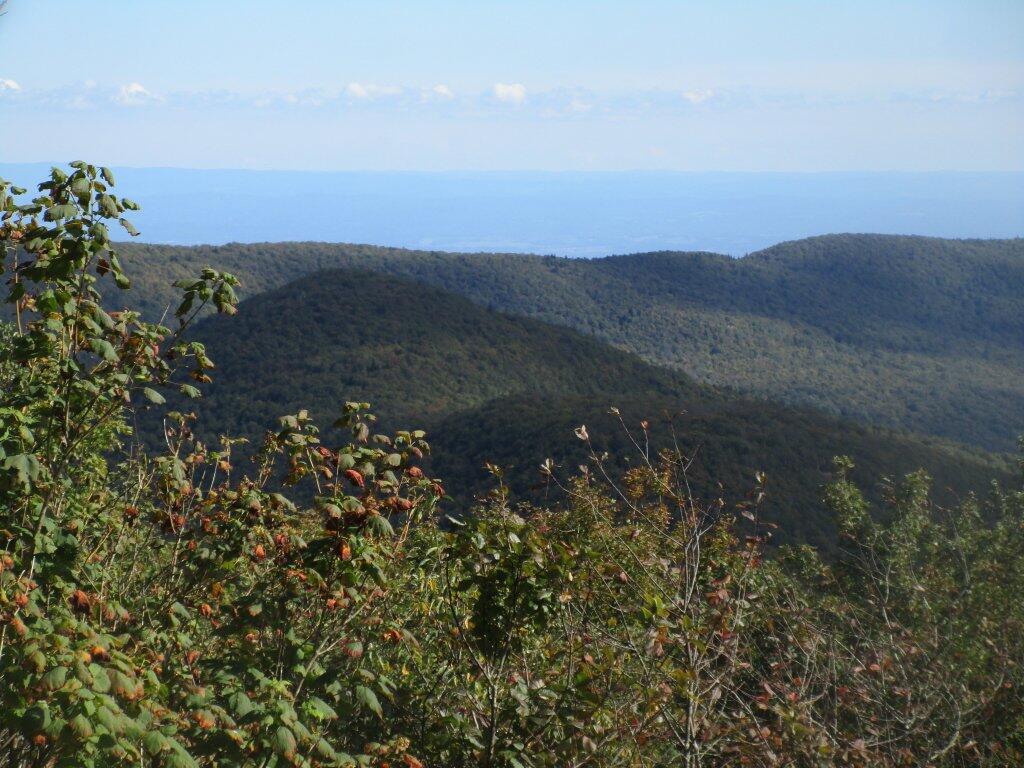 Photo Burnt Knob And Acra Point Andy