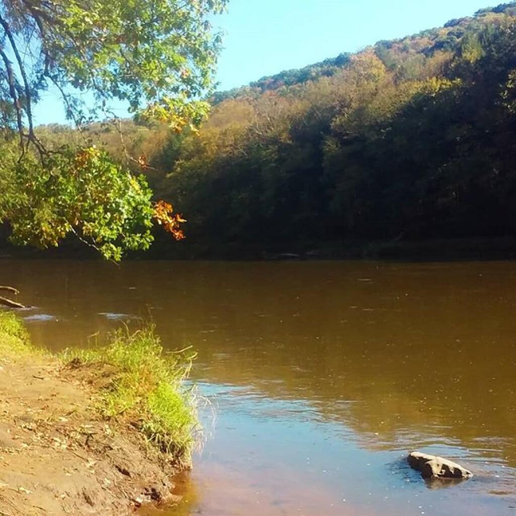 Search Results for “clarion river” Andy