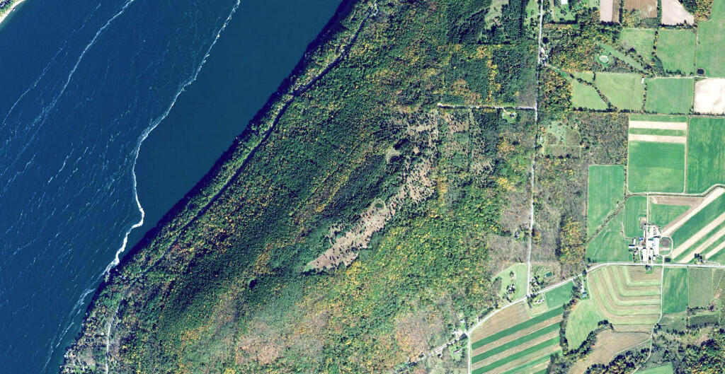 OrthoPhoto Bare Hill Unique Area Andy