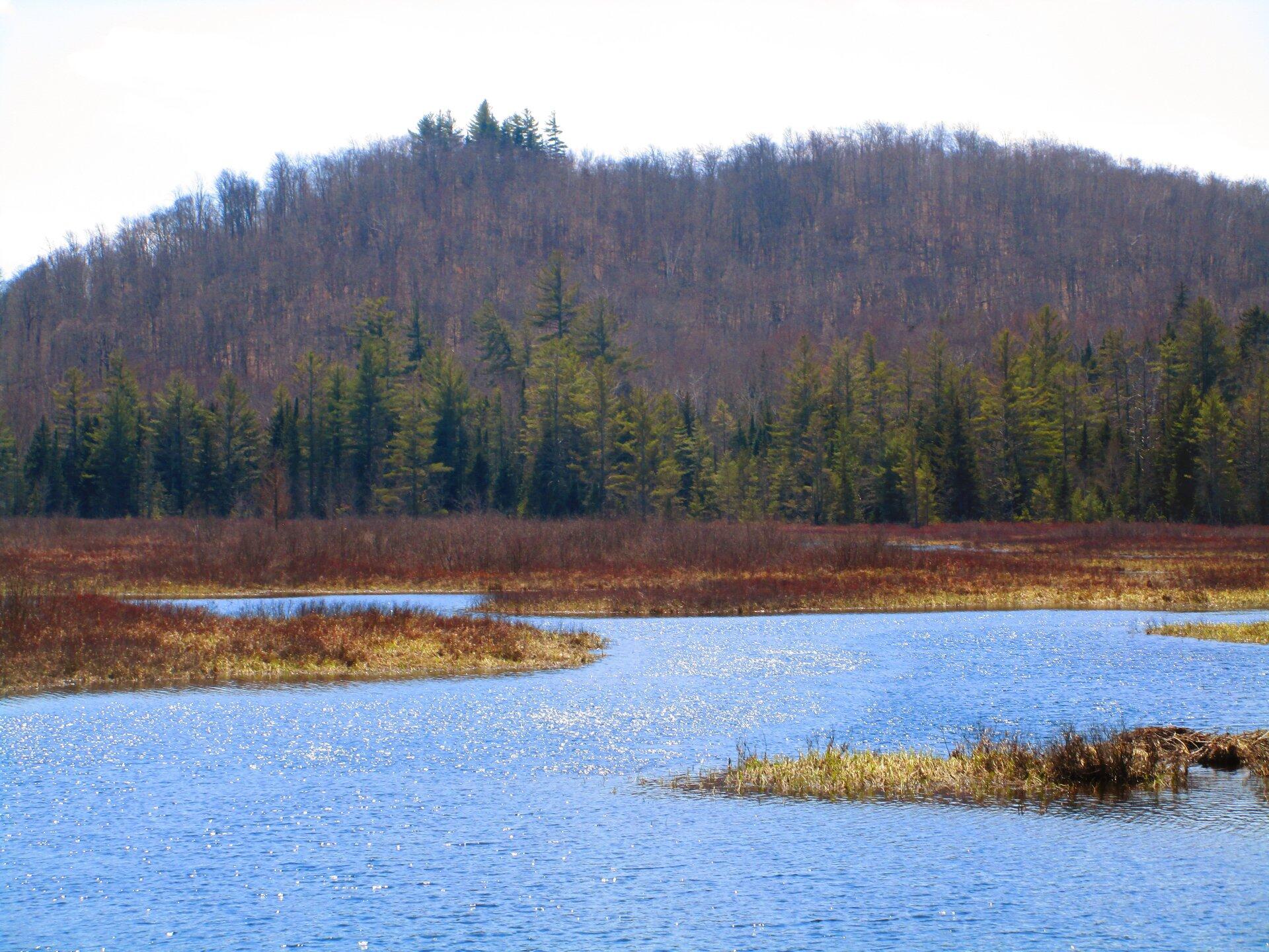 Stony Creek Maps, Photos, Videos, Aerial Photography, Charts Andy