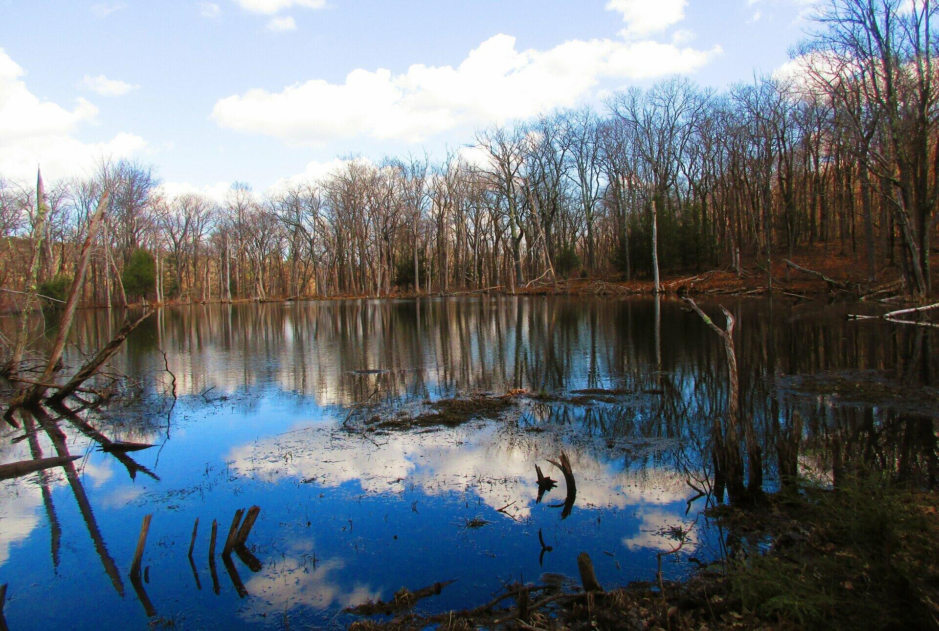 Photo Cranberry Pond Andy