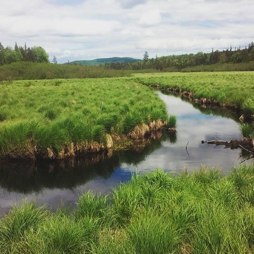 Fawn Lake Maps, Photos, Videos, Aerial Photography, Charts Andy