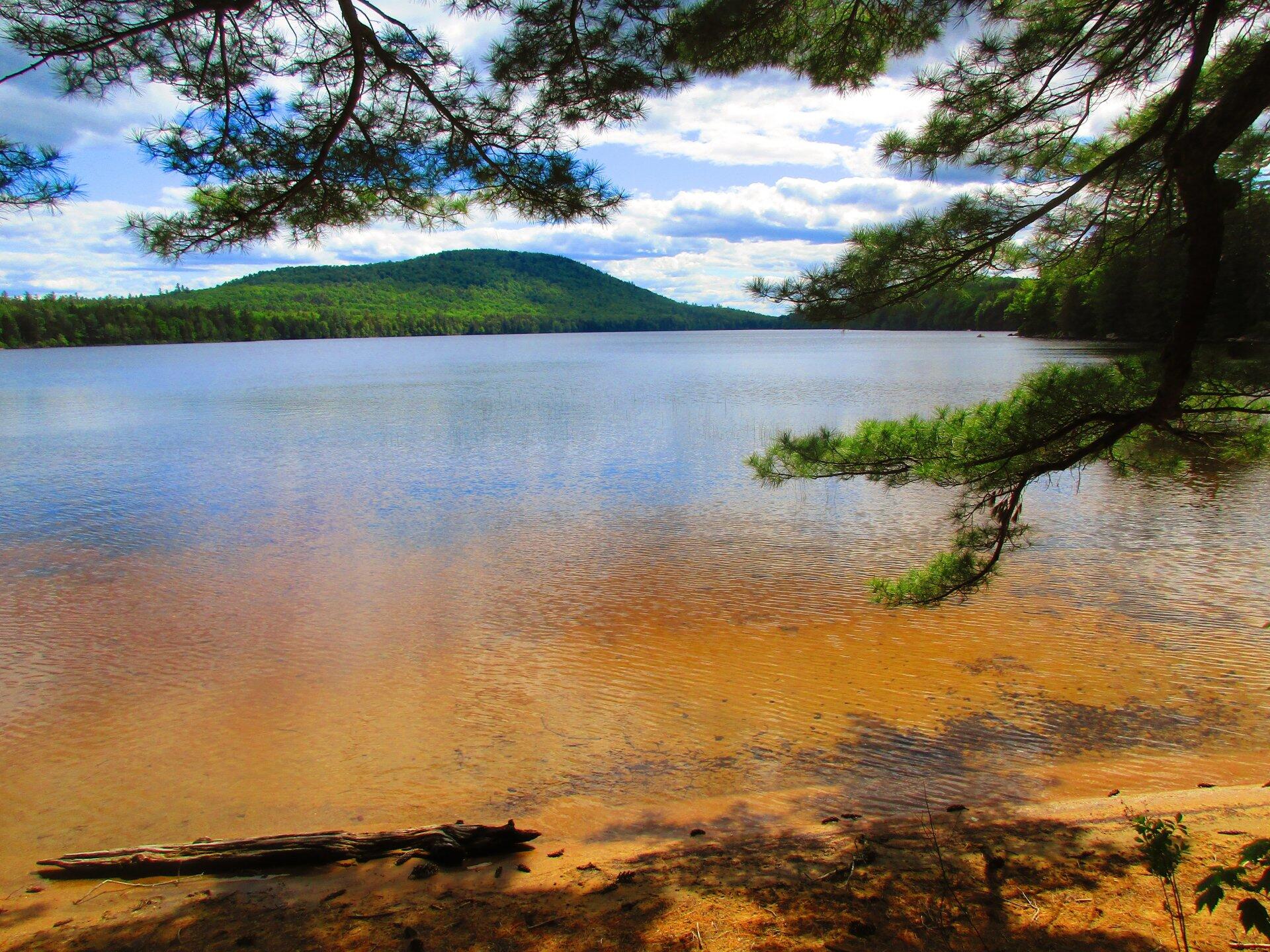 Photo Fawn Lake Beach Andy