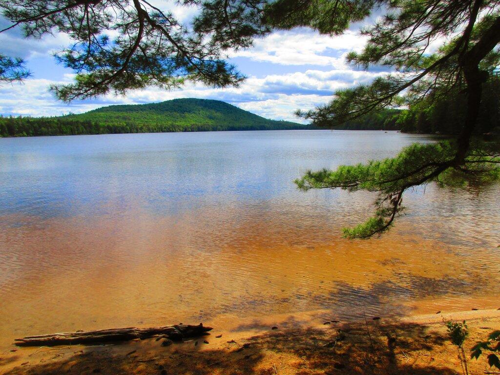 Fawn Lake Maps, Photos, Videos, Aerial Photography, Charts Andy