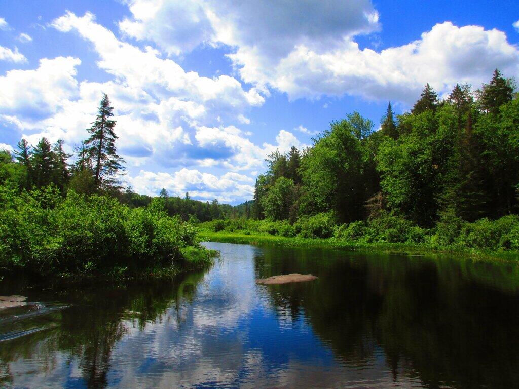 Horseshoe Lake Wild Forest Maps, Photos, Videos, Aerial Photography