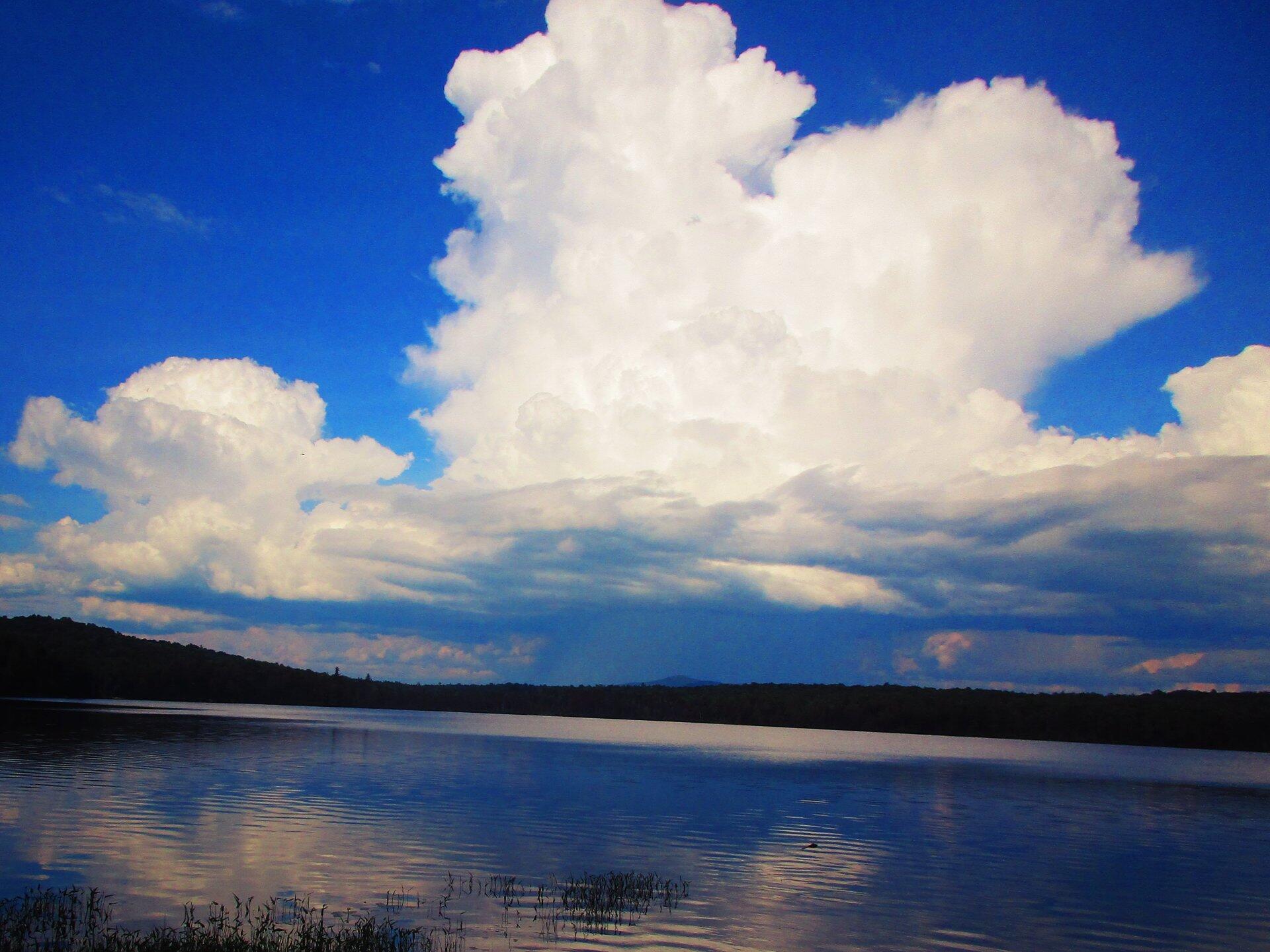 Horseshoe Lake Maps, Photos, Videos, Aerial Photography, Charts