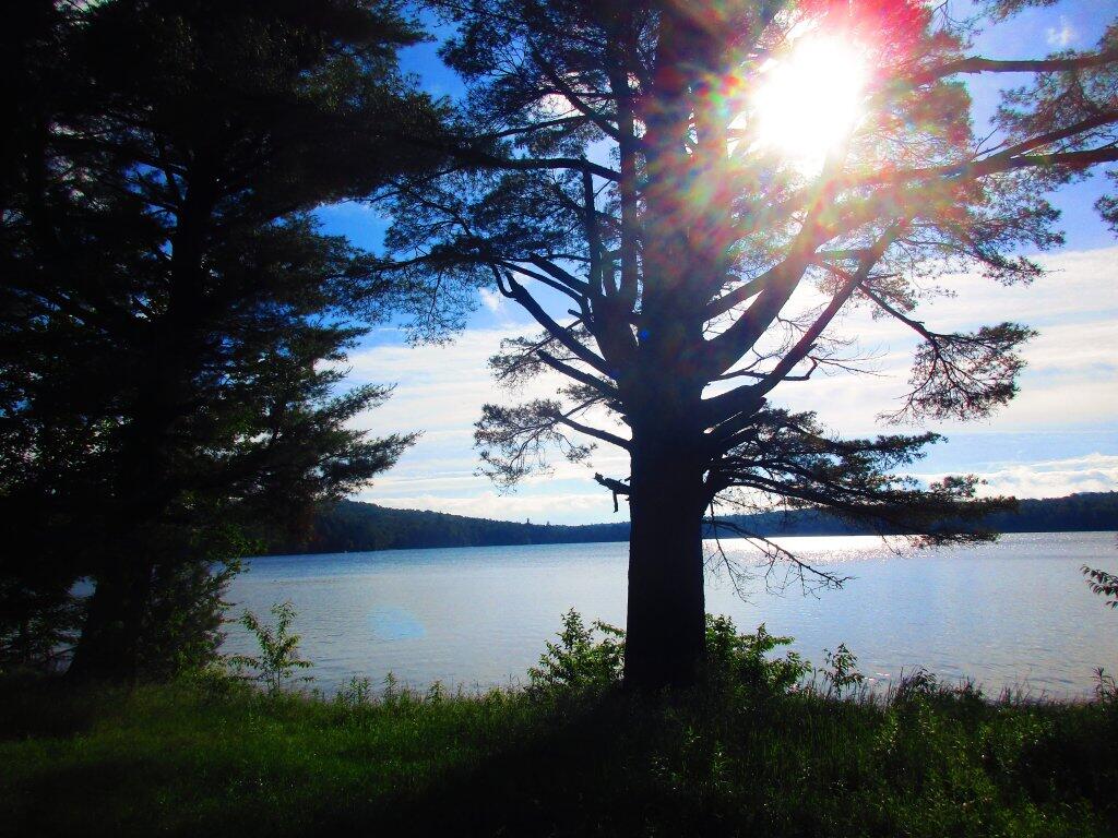 Horseshoe Lake Maps, Photos, Videos, Aerial Photography, Charts