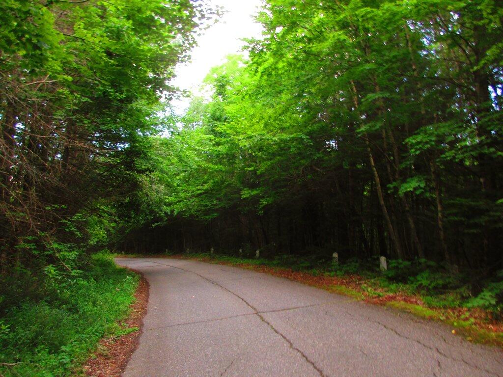 Speculator, NY Maps, Photos, Videos, Aerial Photography, Charts