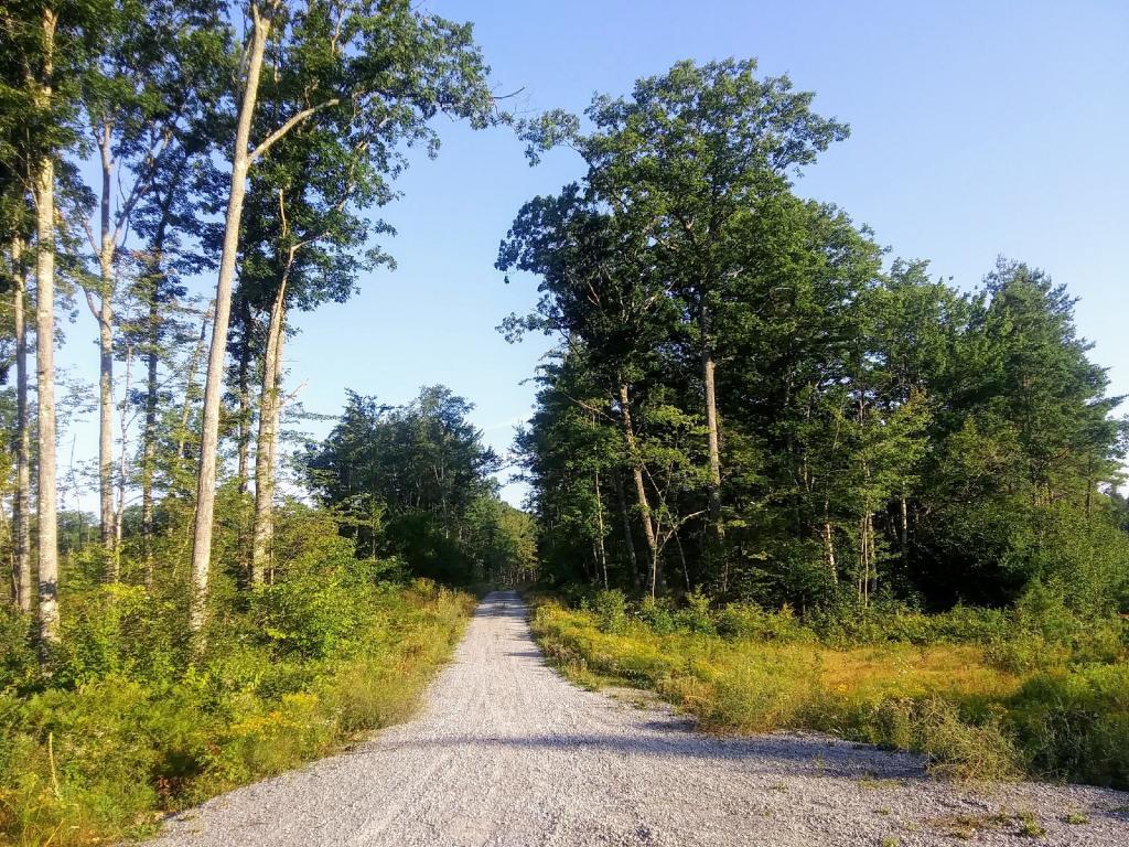 Photo Duck Pond Road 🚘 Andy