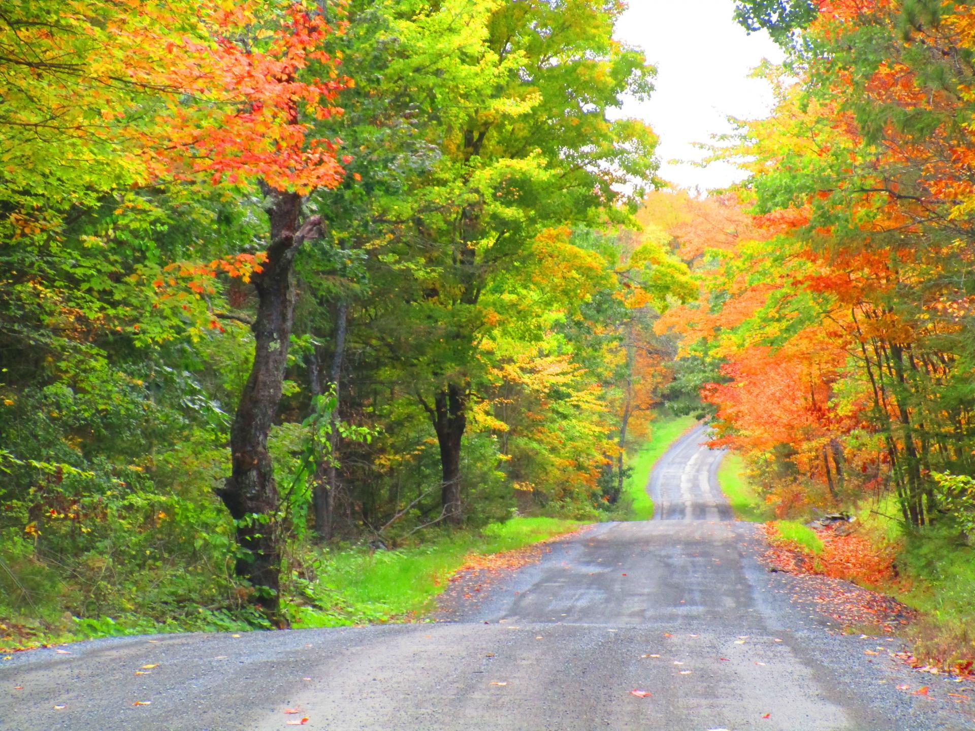 Valcour Island Maps, Photos, Videos, Aerial Photography, Charts