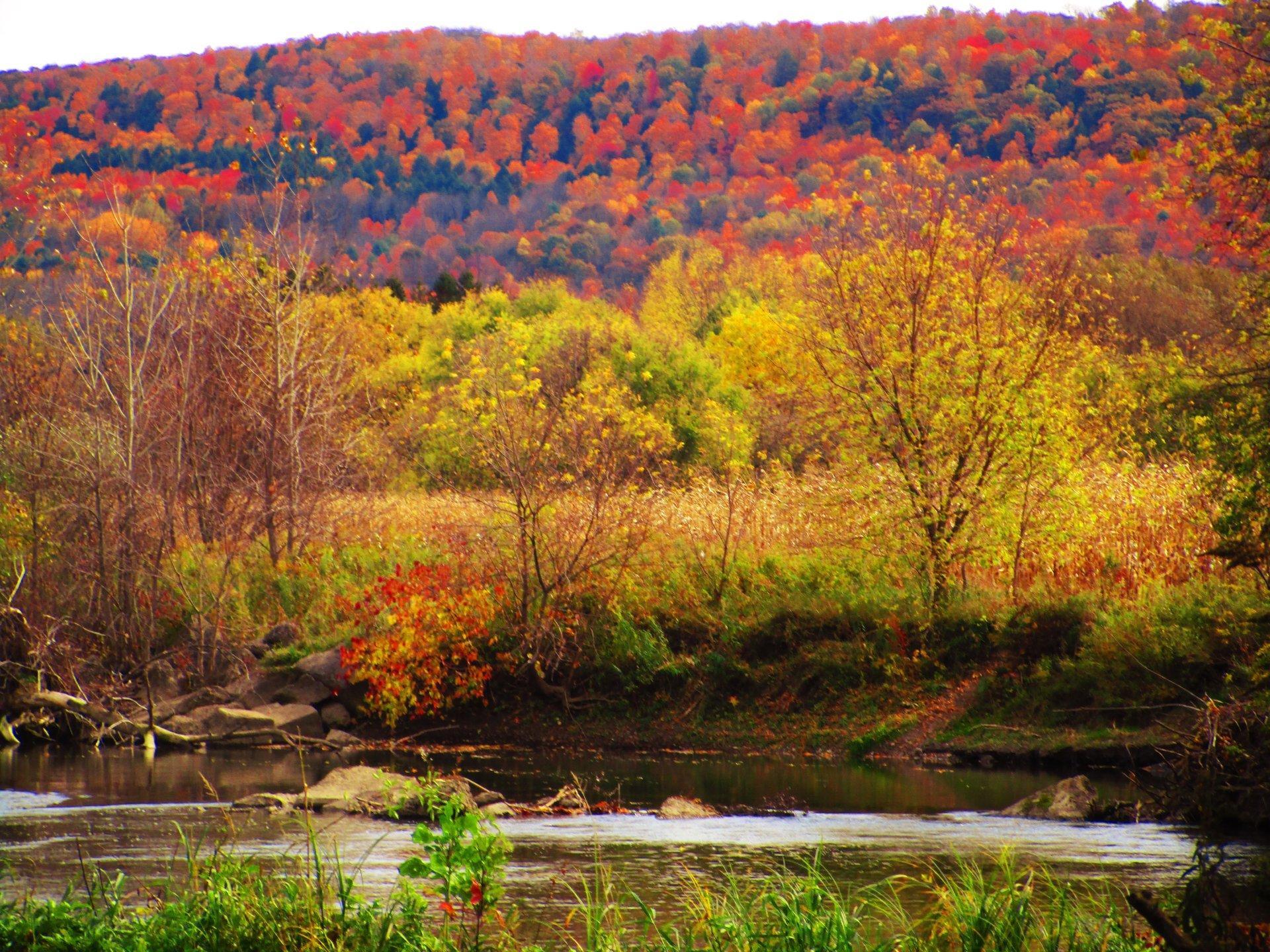 Photo Chenango River Andy