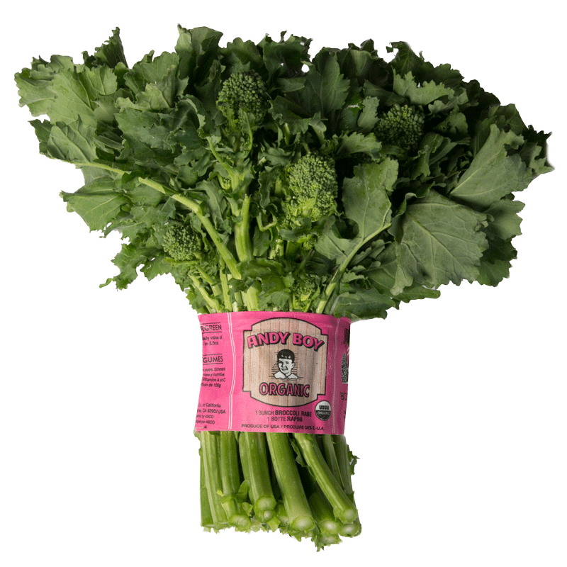 Organic Broccoli Rabe Andy Boy