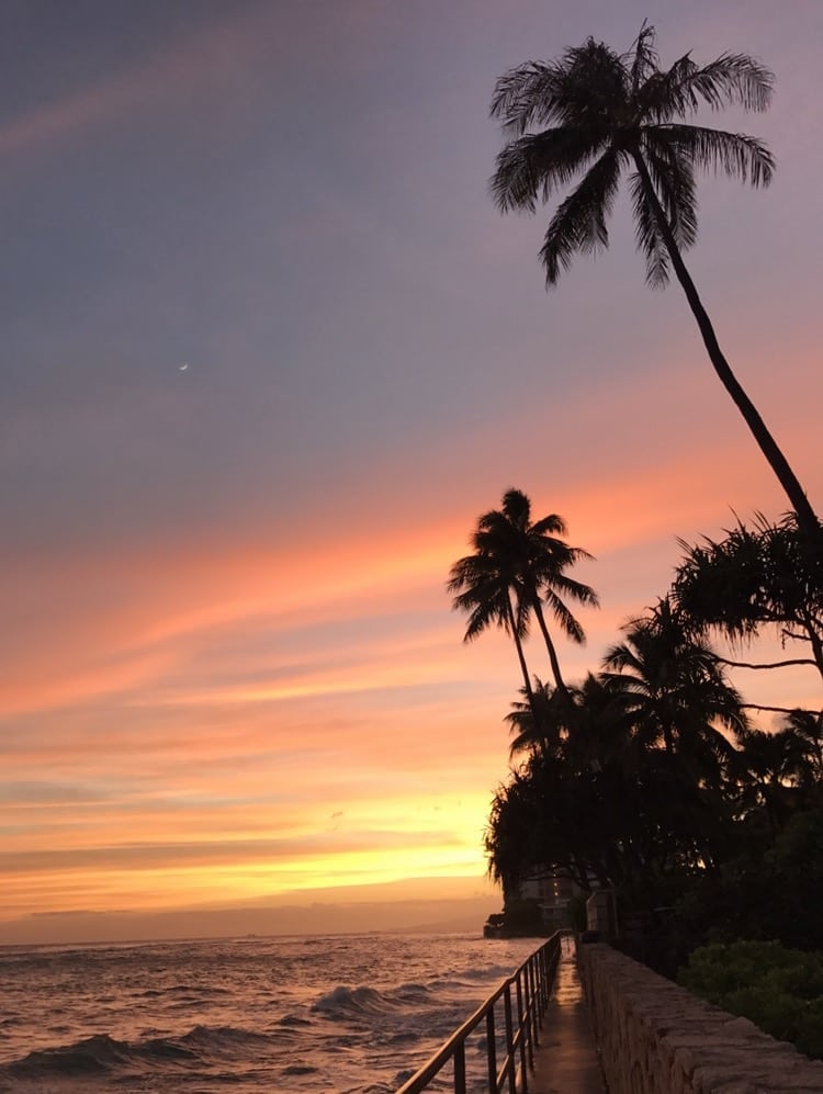Top 3 Places To Watch The Sunset In Oahu Dolphins and You