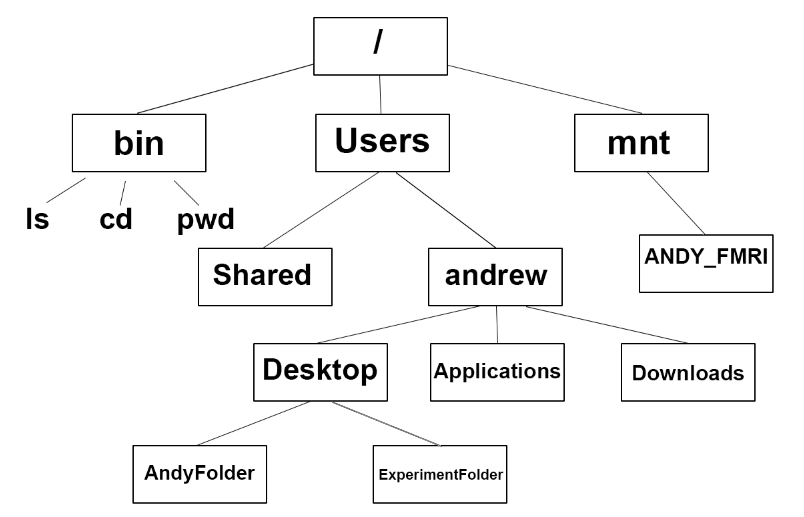Unix Tutorial 1 Navigating the directory tree — Andy's Brain Book 1.0 documentation