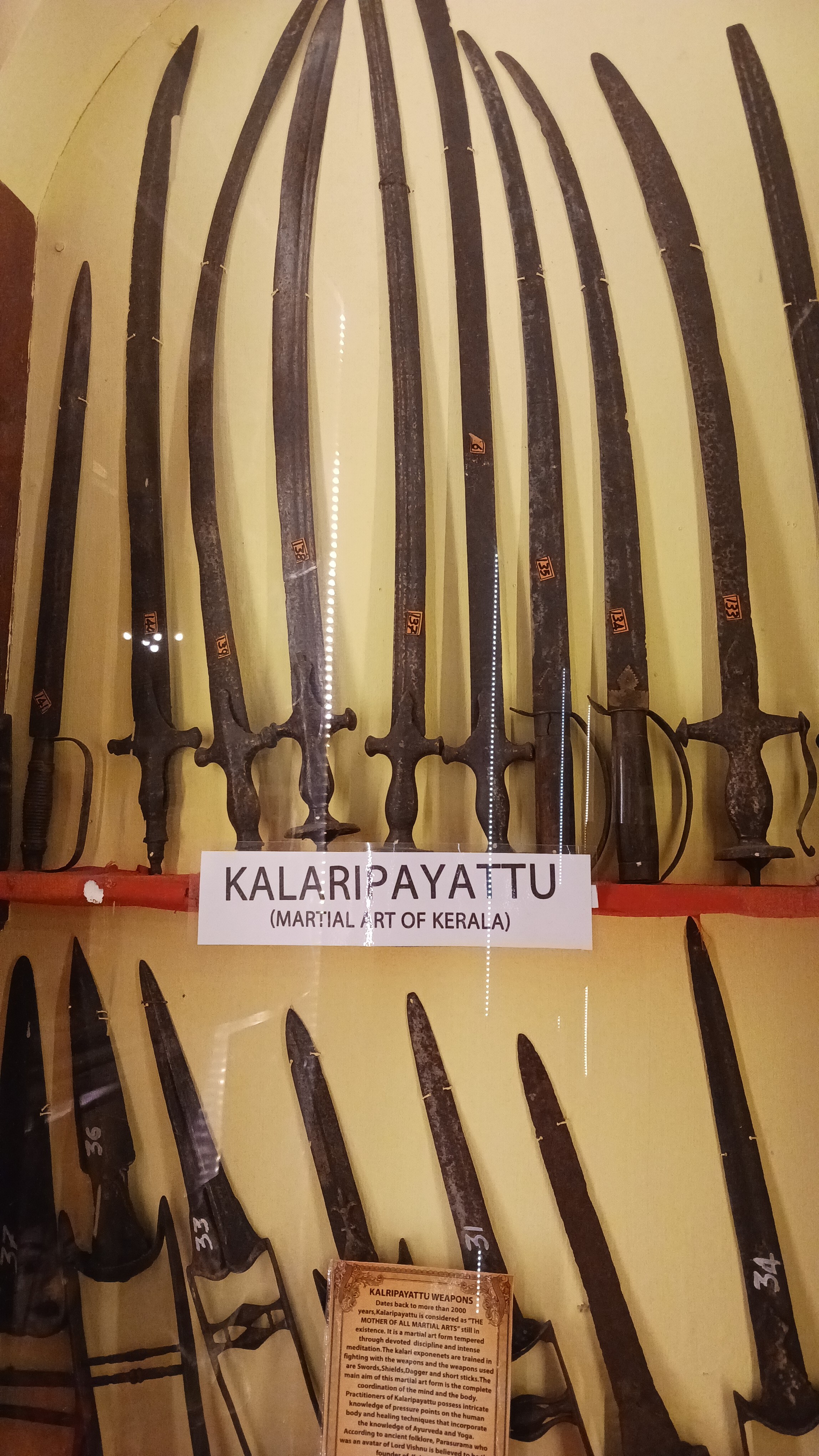 IMG-20231226-WA0016
