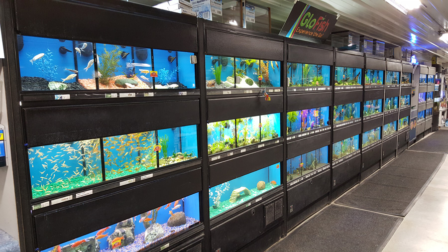 Refreshingly cast Gallery Of Photos