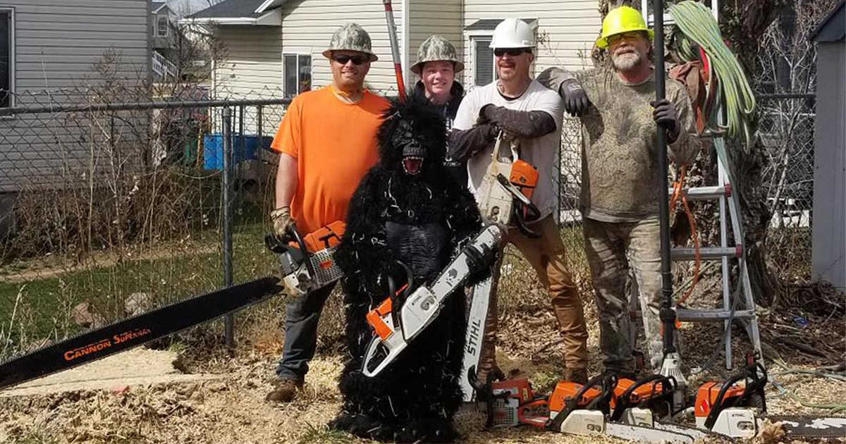 About Us Andy's Stump and Tree Service Weber and Davis, UT