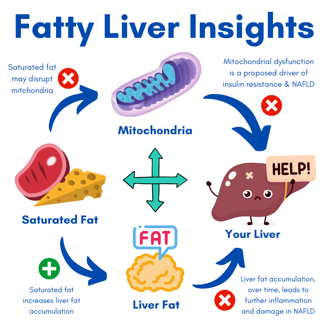 Is Too Much Saturated Fat Bad For Your Liver? Andy The RD