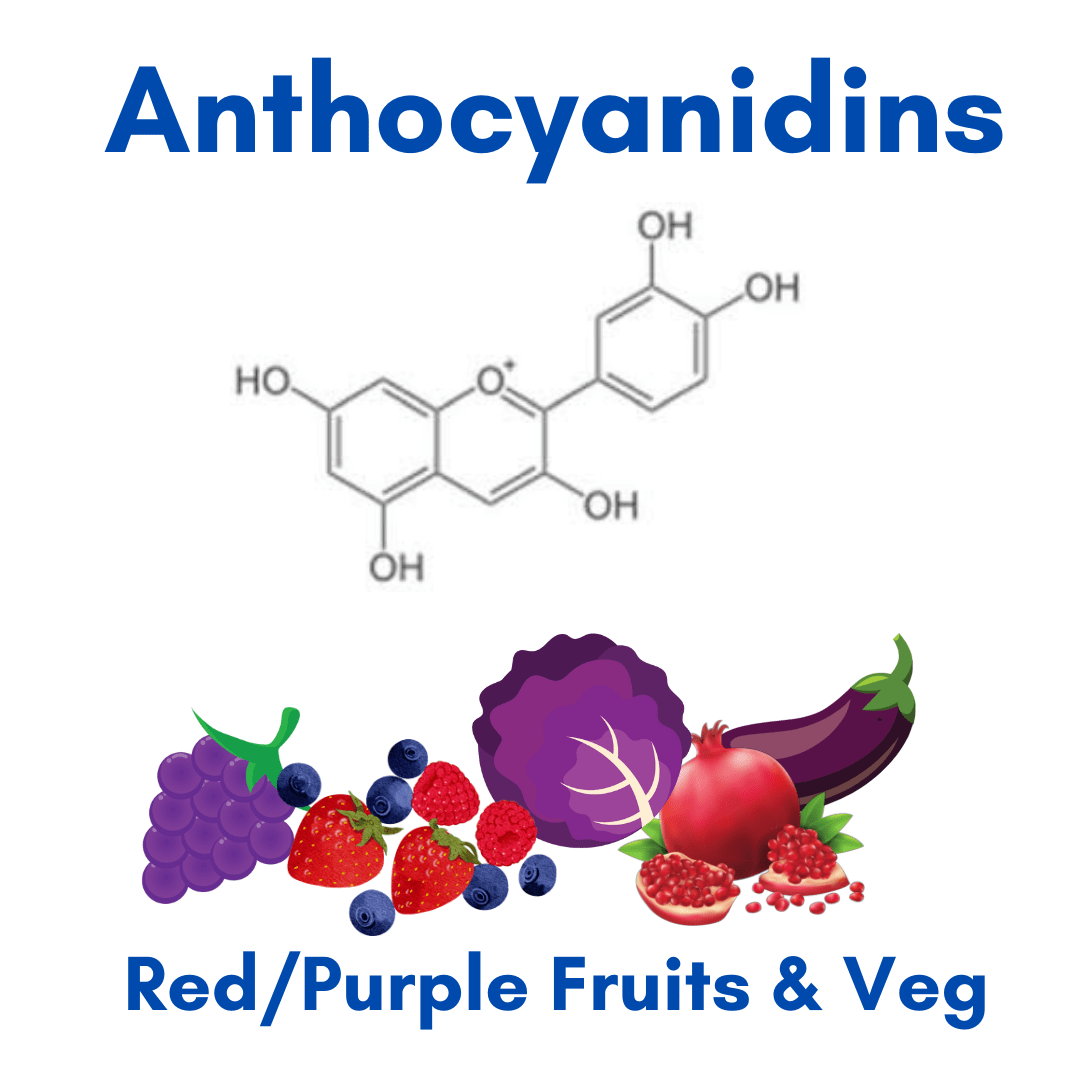 Flavonoid Foods Slow Biological & Skin Aging Andy The RD