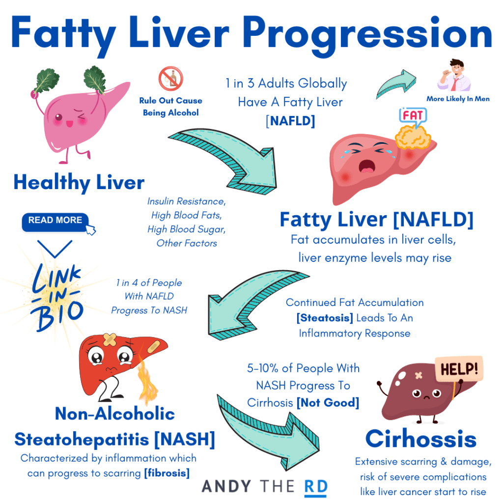 An Introduction To Fatty Liver Disease [NAFLD] Andy The RD