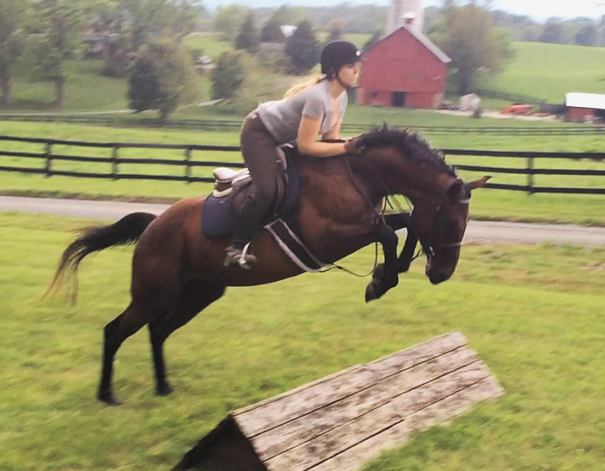 Cross Country Action An Equestrian Life