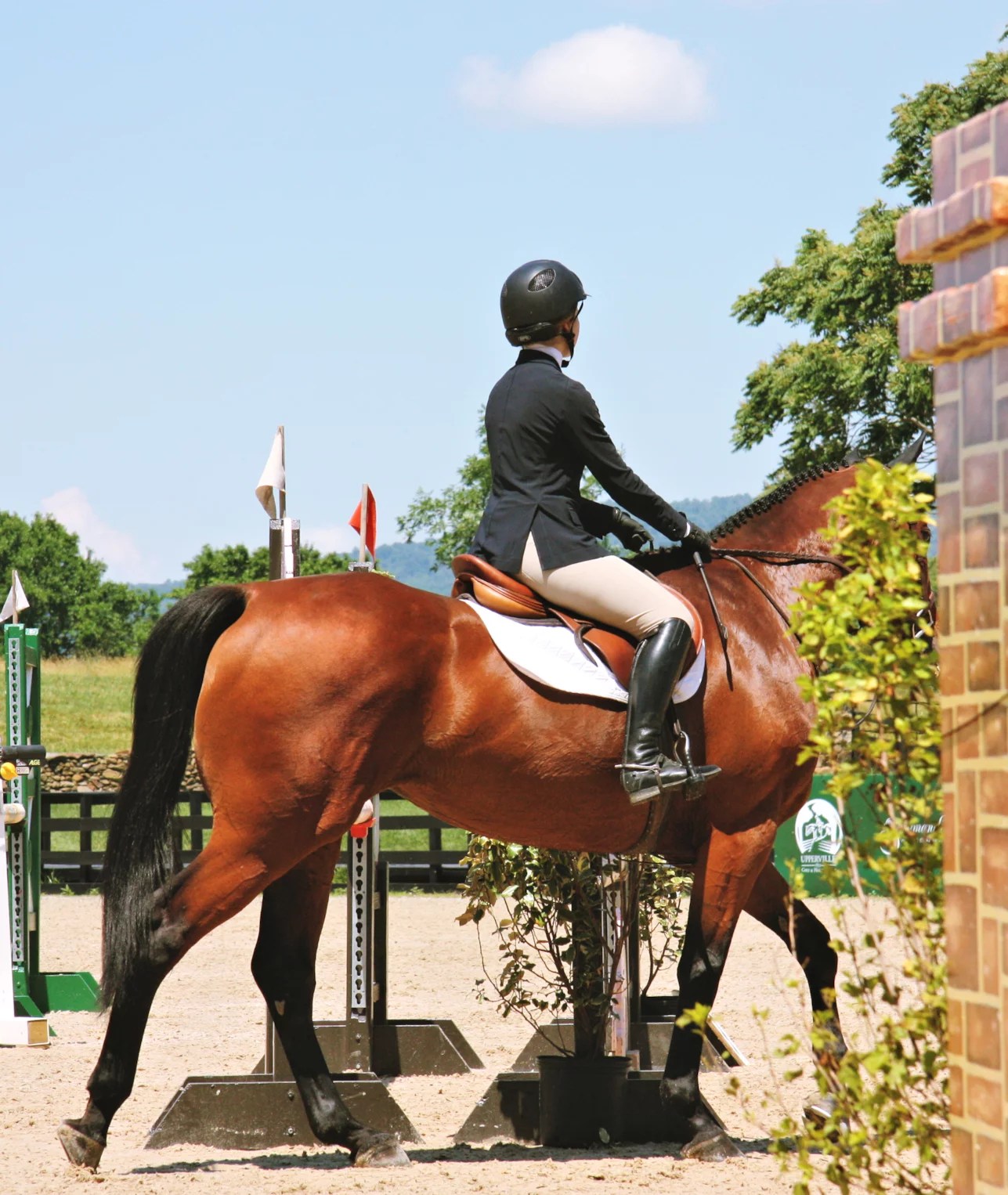 Horse Professionals and Customer Service An Equestrian Life