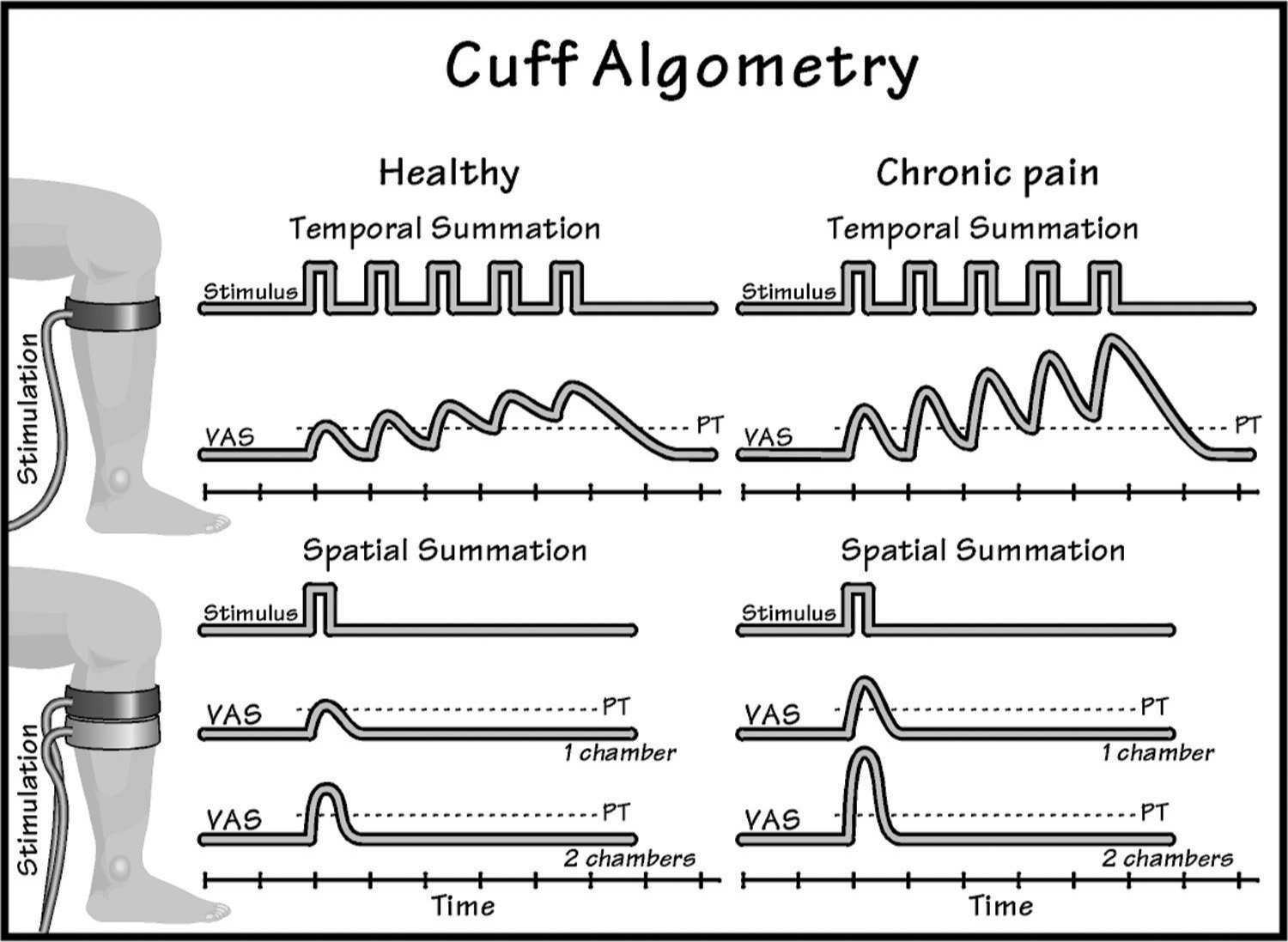 Mechanistic Quantitative Sensory Testing From Animals to Patients