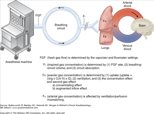 Inhalation Anesthetics Anesthesia Key