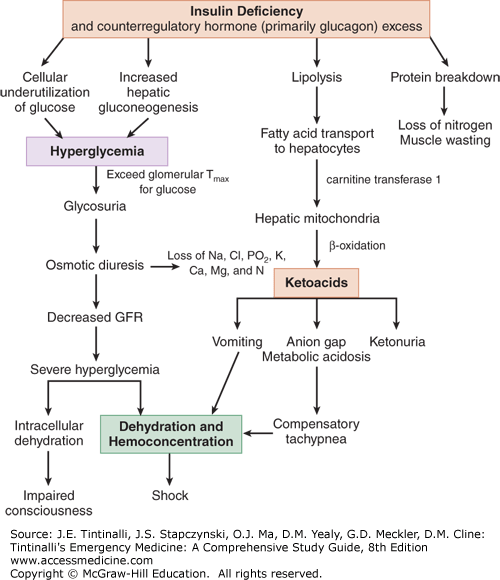 Diabetic Ketoacidosis Anesthesia Key