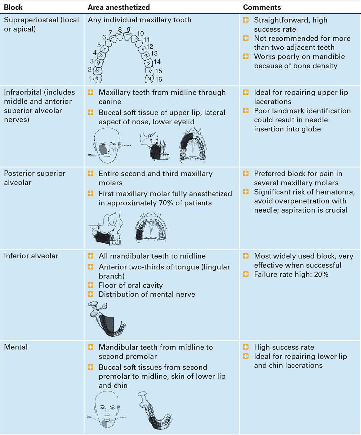 Types Of Dental Nerve Blocks