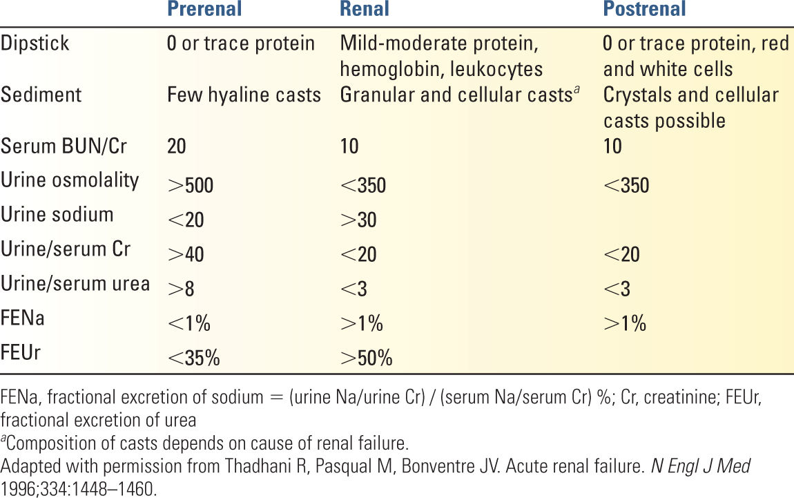 Acute Kidney Injury Anesthesia Key
