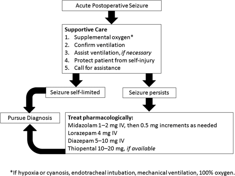 Seizure Anesthesia Key